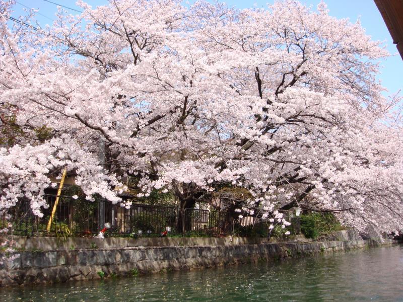 The B Kyoto Sanjo Hotel Ngoại thất bức ảnh